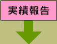 実績報告