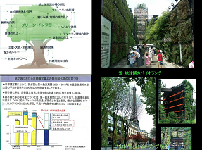 グリーン・インフラによる緑化