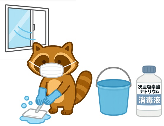 次亜塩素酸ナトリウムで消毒をするアライグマ