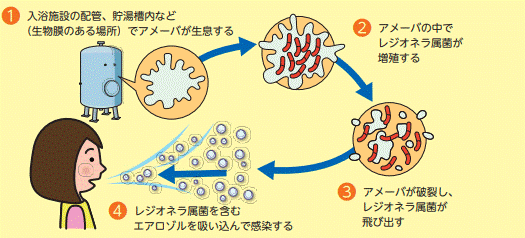 レジオネラ感染経路