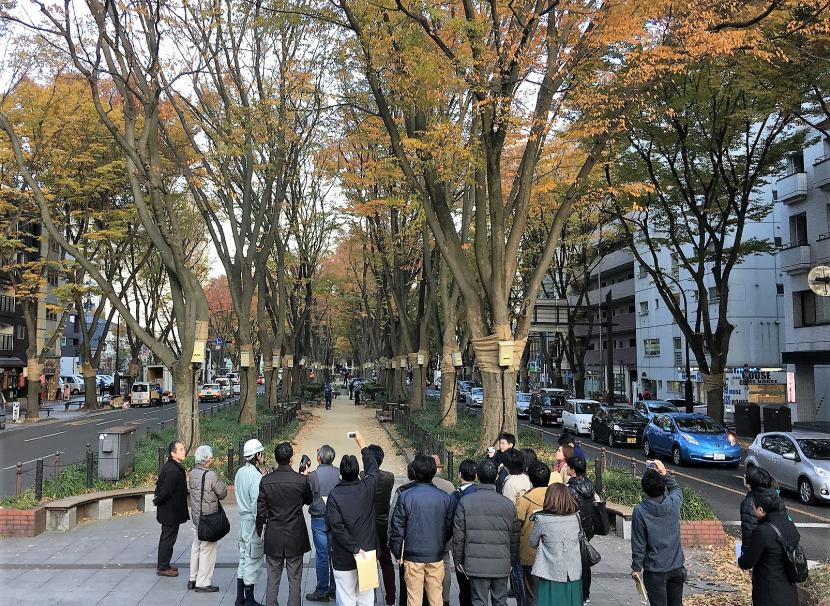 街路樹見学ツアー