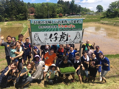 トラクシィ田植え