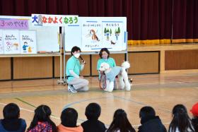 動物介在活動の様子