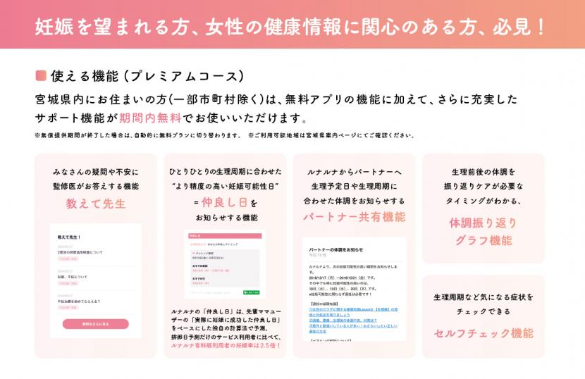 ルナルナチラシ表