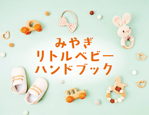 リトルベビーハンドブック表紙