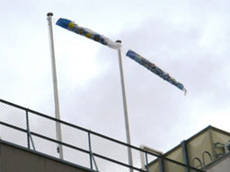 Carp Streamers