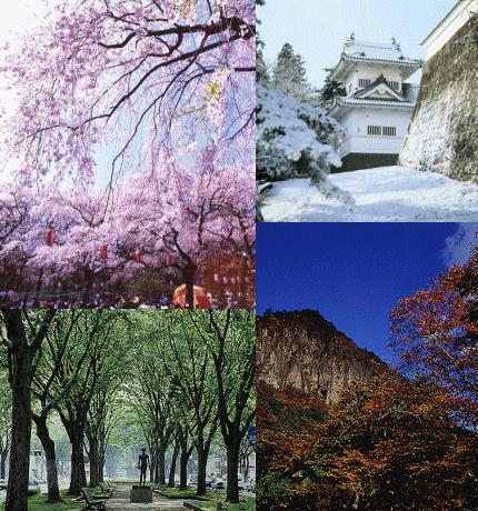 The four seasons in Sendai