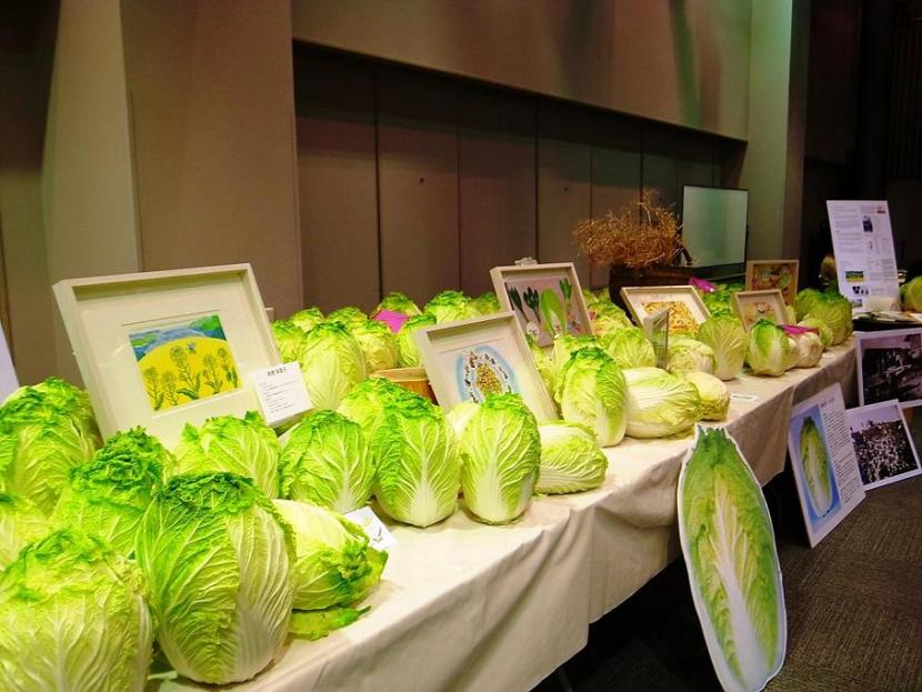 左：明成高校調理科による「仙台-光州　友好の白菜」の展示。ギャラリーホールに白菜畑が出現しました！