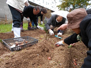 仮設住宅自治会による植え付け