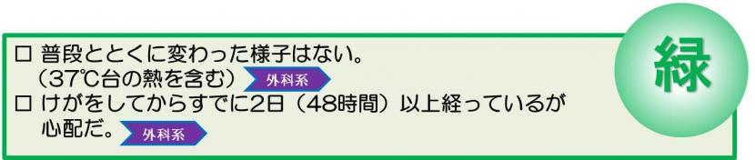 普段ととくに変わった様子はない。（37℃台の熱を含む）けがをしてからすでに2日（48時間）以上たっているが心配だ。