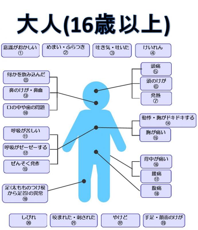 おとな16歳以上の症状一覧