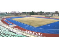 宮城野原公園総合運動場の写真