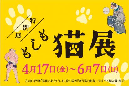 バナー／特別展「もしも猫展」
