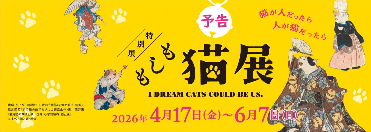  スライダー／特別展「もしも猫展」予告２