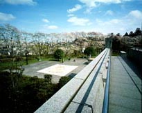 sendai city museum image