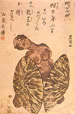 蚶の介科