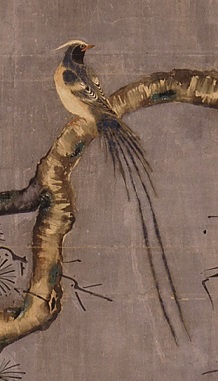 画像／花鳥図屏風（綬帯鳥1）