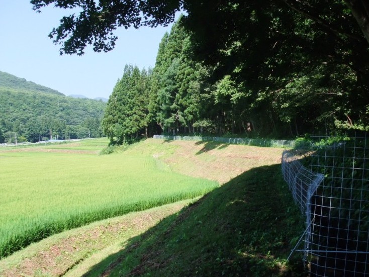 草刈りの行き届いた農用地と獣害防止柵の設置の画像