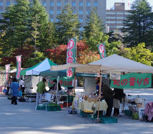 syunnokaori_kasetuhiroba