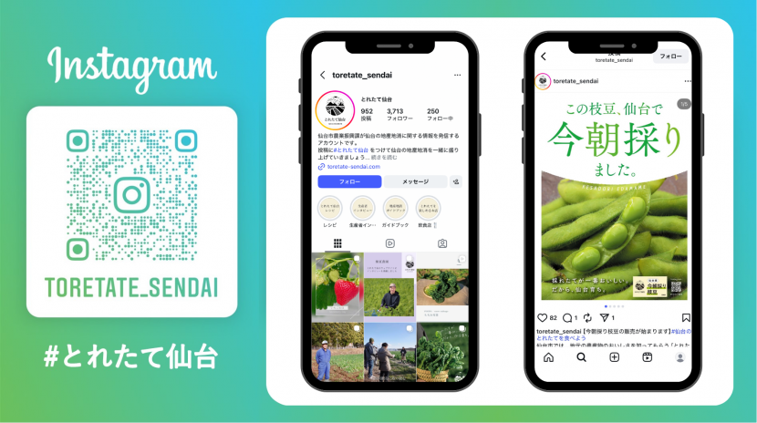 とれたて仙台インスタグラム_バナー