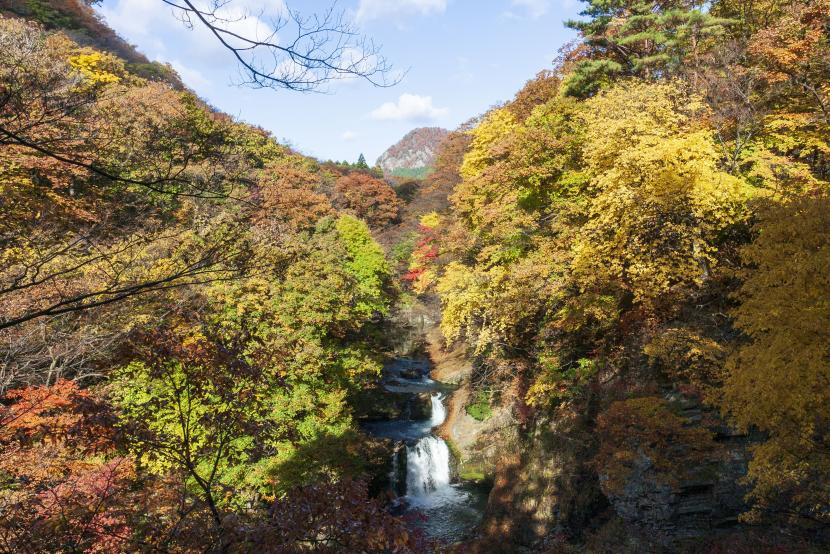 滝の向こうに鎌倉山を望む
