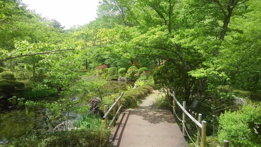 新緑の秋保大滝植物園