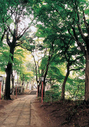愛宕神社の参道