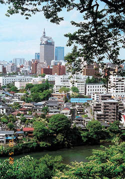 愛宕山から市街地を望む