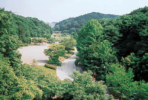 公園の遠景