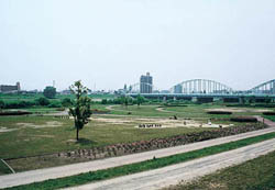 広瀬川中河原緑地の写真