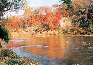 仲の瀬橋上流の紅葉の写真