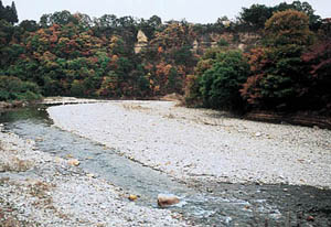 広瀬川の美しい清流の写真