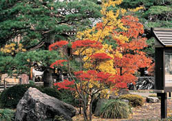 光明寺の庭園の写真
