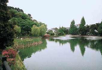 東北薬科大学に隣接する小松島公園