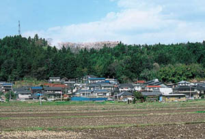 写真：緑に囲まれた丘陵