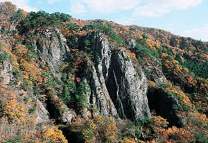 大倉ダム北東側斜面の写真