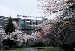 大倉ダム下流の公園の写真