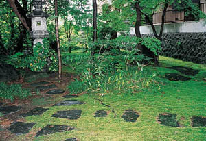 苔で覆われた庭園の写真
