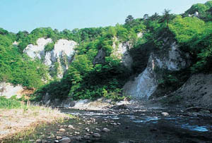 新緑の白岩の写真