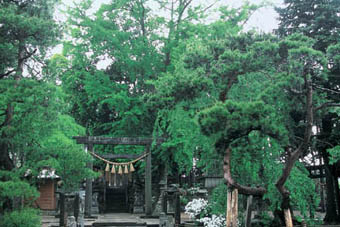 多賀神社正面の写真