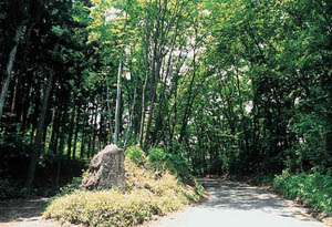 仙台市太白山自然観察の森の入口の写真