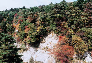 紅葉の頃の岩肌の写真