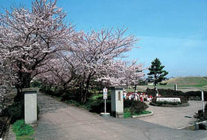 遠見塚小学校校門と古墳の写真