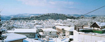 金剛沢緑地の雪景色