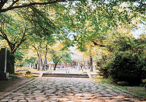 木ノ下公園の写真