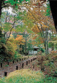 紅葉の園路の写真