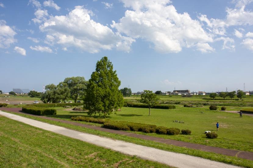 広々とした緑地