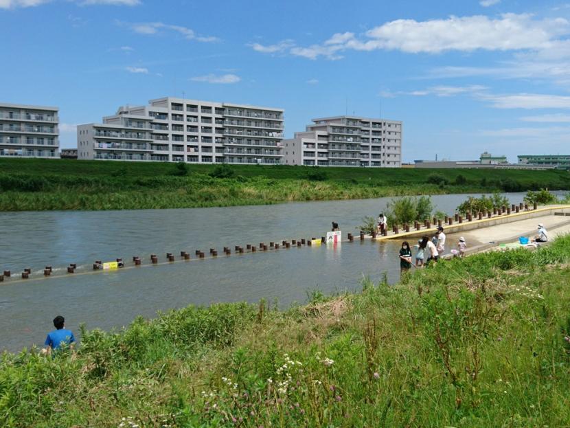 人気のじゃぶじゃぶ池