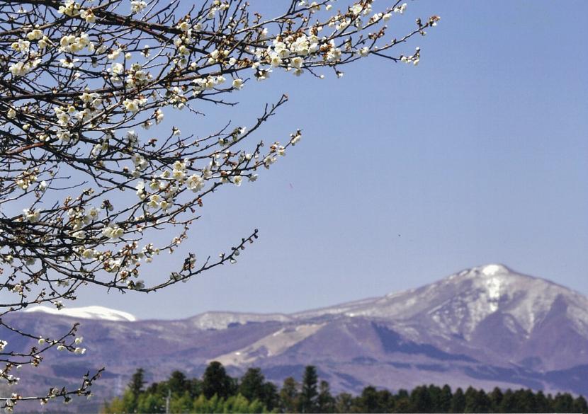 早春の泉ケ岳（撮影：大場忠雄）