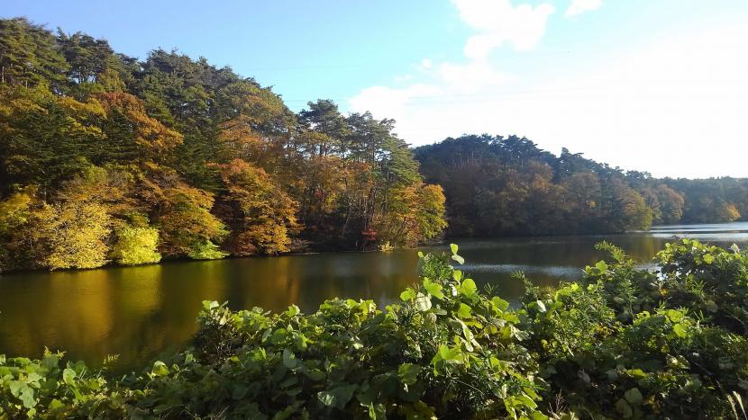 秋の水の森公園・三共堤